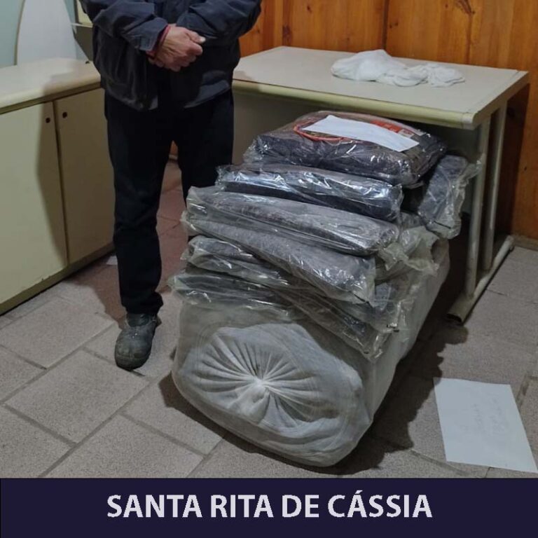 santa rita_